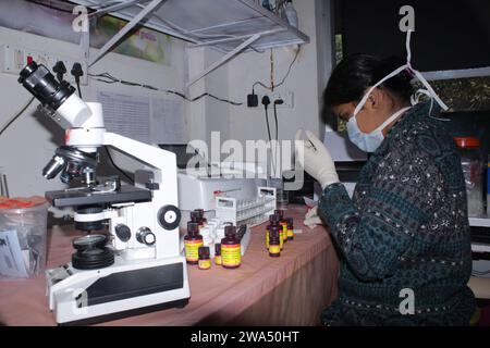 Lady Pathologist traitant des échantillons au laboratoire de pathologie pour analyse. Concept de diagnostic médical. Concept médical. Inde Banque D'Images