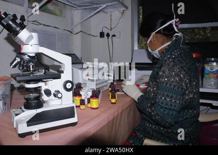 Lady Pathologist traitant des échantillons au laboratoire de pathologie pour analyse. Concept de diagnostic médical. Concept médical. Inde Banque D'Images