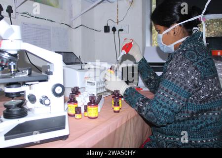 Lady Pathologist traitant des échantillons au laboratoire de pathologie pour analyse. Concept de diagnostic médical. Concept médical. Inde Banque D'Images