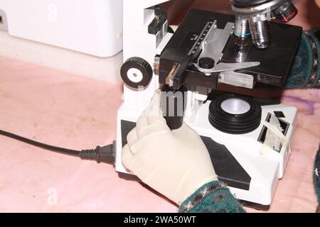 Lady pathologiste examinant au microscope. Inde Banque D'Images