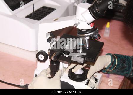 Lady pathologiste examinant au microscope. Inde Banque D'Images