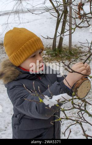 Petit garçon accrochant une mangeoire de noix de coco sur une branche d'arbre Banque D'Images