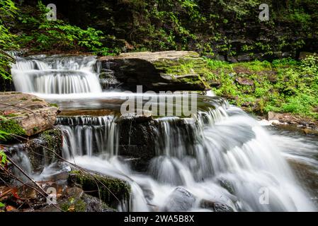 Magnifiques chutes de Cayuga à Ricketts Glen Banque D'Images