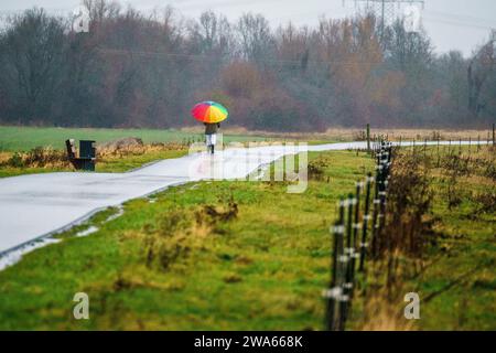 Bad Vilbel, Allemagne. 02 janvier 2024. Une femme part se promener sur la piste cyclable le long de la Nidda par temps de pluie. Crédit : Andreas Arnold/dpa/Alamy Live News Banque D'Images