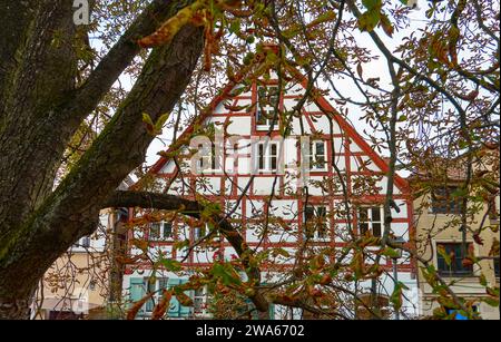 Vue à travers les branches à la maison romantique à colombages à Schwabach, Allemagne Banque D'Images