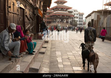 Katmandou, Népal - 17 novembre 2023 : un vieil homme non identifié se promène avec ses chèvres sur la place Durbar de katmandou. katmandou durbar square est l'un des Banque D'Images