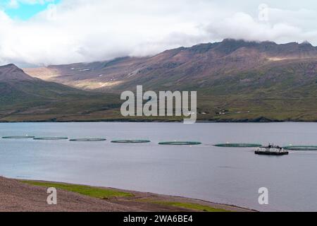 Filets de pisciculture, près de la ville de Djupivogur dans l'est de l'Islande. Paysage de fjord de Berufjordur. Banque D'Images