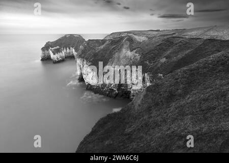 Vue le long de falaises de craie escarpées flanquées par la mer du Nord, le tout sous un ciel nuageux à l'aube à Flamborough Head, Flamborough, Yorkshire, Royaume-Uni. Banque D'Images