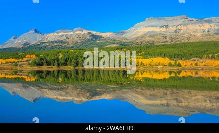 panorama des sommets de montagne du parc national des glaciers et tremble en couleur d'automne reflété dans le lac lubec près de east glacier park, montana Banque D'Images