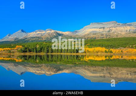 Des pics de montagne du parc national des Glaciers et du tremble dans la couleur de l'automne reflète dans lubec lac près de East Glacier Park, Montana Banque D'Images