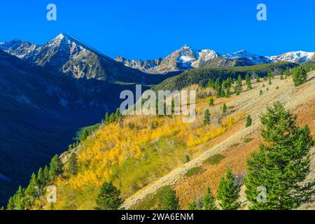 couleurs d'automne dans la section spanish peaks de la chaîne madison dans la nature sauvage de lee metcalf près de gallatin gateway, montana Banque D'Images