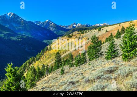 couleurs d'automne dans la section spanish peaks de la chaîne madison dans la nature sauvage de lee metcalf près de gallatin gateway, montana Banque D'Images