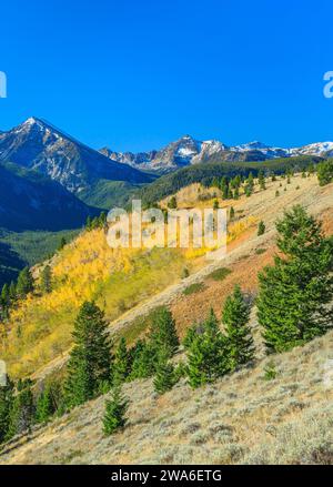 couleurs d'automne dans la section spanish peaks de la chaîne madison dans la nature sauvage de lee metcalf près de gallatin gateway, montana Banque D'Images