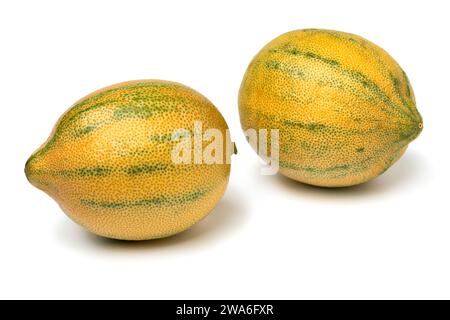 Paire de citrons tigres entiers isolés sur fond blanc en gros plan Banque D'Images