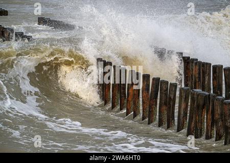 Vague s'écrasant dans le groyne en bois / brise-lames pour éviter l'érosion du sable de plage pendant la tempête hivernale le long de la côte de la mer du Nord en Zélande, aux pays-Bas Banque D'Images