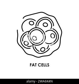 Icône de ligne de couleur des cellules graisseuses. Micro-organismes microbes, bactéries. Elément isolé par vecteur. Contour modifiable. Illustration de Vecteur