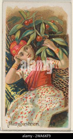 Mangoustan, de la série fruits (N12) pour Allen & Ginter cigarettes Brands 1963 par Allen & Ginter Banque D'Images
