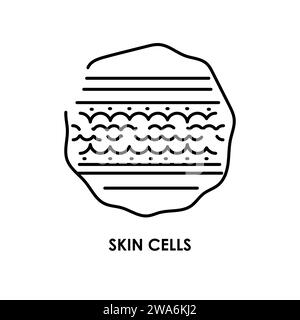 Icône de ligne de couleur des cellules de peau. Micro-organismes microbes, bactéries. Elément isolé par vecteur. Contour modifiable. Illustration de Vecteur