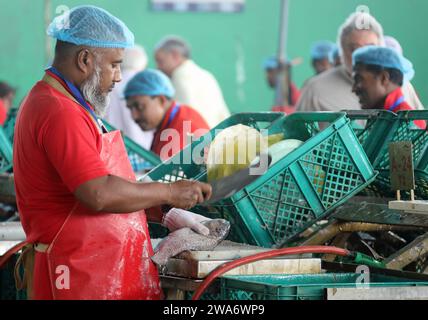 Salle de nettoyage au célèbre marché central aux poissons à Jeddah Banque D'Images