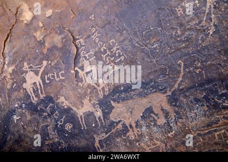 Art rupestre ancien à Jubbah dans la province de Hail en Arabie Saoudite Banque D'Images