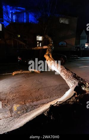 Beedell Avenue, Westcliff on Sea, Essex, Royaume-Uni. 2 janvier 2024. Les vents forts de la tempête Henk ont soufflé un arbre sur une voiture et une propriété, fermant la route. Les chirurgiens des arbres ont commencé à travailler pour enlever l'arbre, avec la police à portée de main créant la lumière bleue Banque D'Images