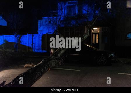 Beedell Avenue, Westcliff on Sea, Essex, Royaume-Uni. 2 janvier 2024. Les vents forts de la tempête Henk ont soufflé un arbre sur une voiture et une propriété, fermant la route. Les chirurgiens des arbres ont commencé à travailler pour enlever l'arbre, avec la police à portée de main créant la lumière bleue Banque D'Images