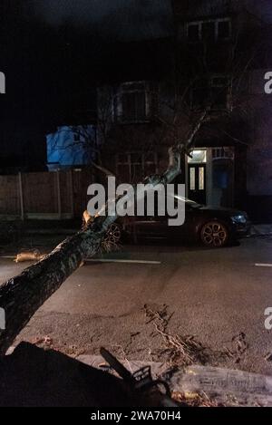 Beedell Avenue, Westcliff on Sea, Essex, Royaume-Uni. 2 janvier 2024. Les vents forts de la tempête Henk ont soufflé un arbre sur une voiture et une propriété, fermant la route. Les chirurgiens des arbres ont commencé à travailler pour enlever l'arbre avec la police à portée de main Banque D'Images