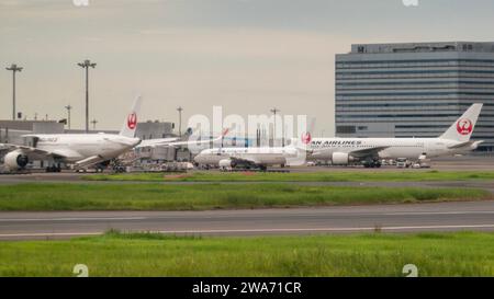 *FILE PHOTO* Tokyo, Japon, 2 janvier 2024. Japan Airlines effectuait le vol JL516 de Sapporo à Tokyo avec son Airbus A350-941 reg JA13XJ, qui a eu une collision avec l'avion de la Garde côtière japonaise DHC-8 reg JA722A, où il a été rapporté que 5 membres d'équipage sont morts. Tous les passagers du JAL Airbus ont été évacués. L'accident a eu lieu à l'aéroport international Haneda de Tokyo. PHOTO : avions Airbus et Boeing de Japan Air Lines (JAL) vus sur le stand au terminal 1 de l'aéroport international de Haneda. Date de la photo : 7 septembre 2023. Crédit : Colin D Fisher Banque D'Images