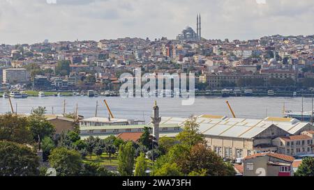 Vue de Golden Horn Cityscape Panorama Autumn Day Travel Istanbul Turquie Banque D'Images