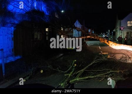 Beedell Avenue, Westcliff on Sea, Essex, Royaume-Uni. 2 janvier 2024. Les vents forts de la tempête Henk ont soufflé un arbre sur une voiture et une propriété, fermant la route. Les chirurgiens des arbres ont commencé à travailler pour enlever l'arbre, avec la police à portée de main créant la lumière bleue Banque D'Images