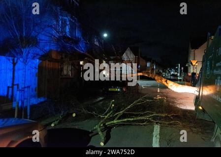 Beedell Avenue, Westcliff on Sea, Essex, Royaume-Uni. 2 janvier 2024. Les vents forts de la tempête Henk ont soufflé un arbre sur une voiture et une propriété, fermant la route. Les chirurgiens des arbres ont commencé à travailler pour enlever l'arbre, avec la police à portée de main créant la lumière bleue Banque D'Images