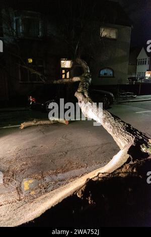 Beedell Avenue, Westcliff on Sea, Essex, Royaume-Uni. 2 janvier 2024. Les vents forts de la tempête Henk ont soufflé un arbre sur une voiture et une propriété, fermant la route. Les chirurgiens des arbres ont commencé à travailler pour enlever l'arbre avec la police à portée de main Banque D'Images