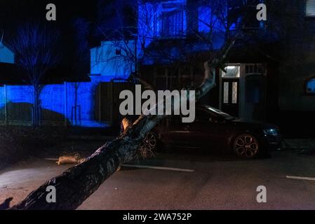 Beedell Avenue, Westcliff on Sea, Essex, Royaume-Uni. 2 janvier 2024. Les vents forts de la tempête Henk ont soufflé un arbre sur une voiture et une propriété, fermant la route. Les chirurgiens des arbres ont commencé à travailler pour enlever l'arbre, avec la police à portée de main créant la lumière bleue Banque D'Images