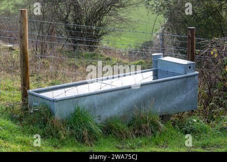 Bac à bétail rempli d'eau potable pour le pâturage du bétail sur une réserve naturelle britannique Banque D'Images