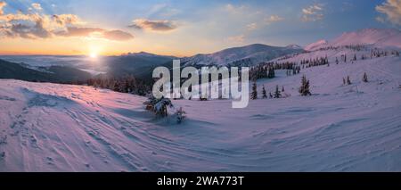 Pittoresque lever de soleil sur les alpes d'hiver. La plus haute crête des Carpates ukrainiens est Chornohora avec des sommets de Hoverla et Petros. Vue de Svydov Banque D'Images