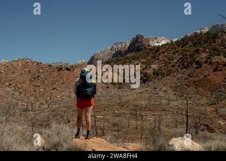 Randonneur donne sur Barren Land dans le parc national de Zion Banque D'Images