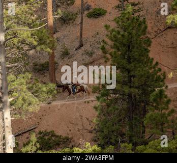 Parc national de Bryce Canyon, États-Unis : 21 juin 2023 : cheval et cavalier à travers gorge dans Bryce Canyon Banque D'Images