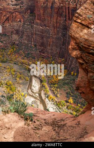 Vue en bas de Scout Lookout à la rivière Virgin et Zion Canyon Road à l'automne dans le parc national de Zion, Utah. Banque D'Images