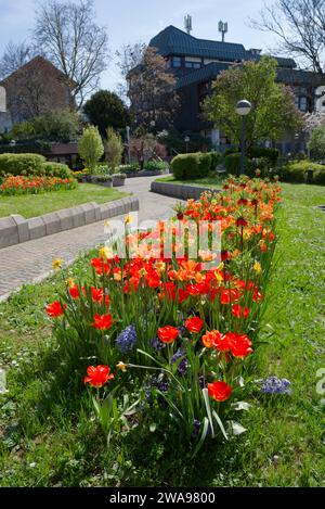 Parterre de fleurs dans le centre-ville de Weinsberg, Weinsberger Tal, Heilbronn-Franken, Bade-Württemberg, Allemagne, Europe Banque D'Images