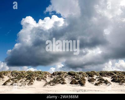Dunes sur la plage danoise de la mer du Nord, Vejers, Danemark, 17.07.2023, Europe Banque D'Images