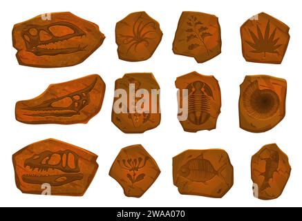 Ancien fossile de dinosaure, squelette de poisson et empreinte végétale dans la pierre. Ensemble de fouilles archéologiques vectorielles. Empreintes de dinosaures, animaux marins et coquilles de mollusques dans des pièces de pierre anciennes, objets de l'évolution préhistorique Illustration de Vecteur