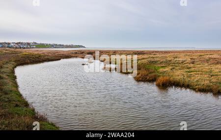 Côte de Swalecliffe près de Whitstable sur la côte nord-est du Kent sud-est de l'Angleterre Royaume-Uni Banque D'Images