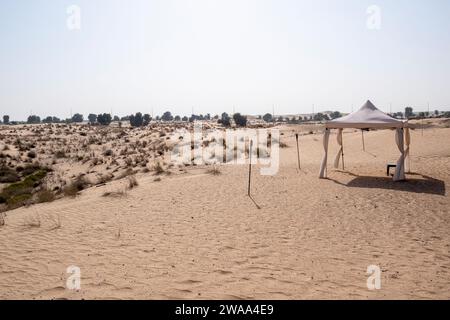 Bab Al Shams vide quart désert sans couture sahara à Dubaï Émirats arabes Unis Moyen-Orient avec des chemins de vent et des collines de sable des ombres de palmiers Banque D'Images