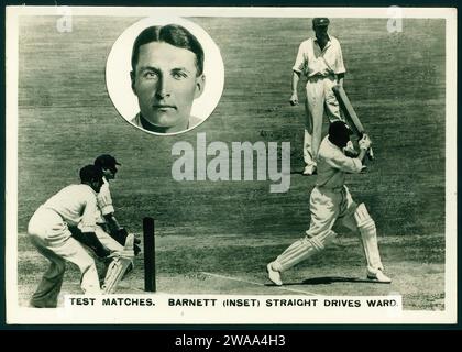 Ashes Test Matches 1936 37 - Illustration de carte de cigarette vintage Banque D'Images