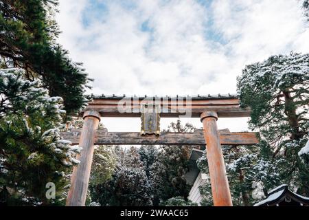 Sakurayama Hachimangu Shrine porte Torii et arbre avec neige hivernale à Takayama, Gifu, Japon Banque D'Images