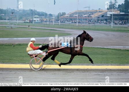 Olle Elfstrand. Entraîneur de trot suédois et jockey. Au cours de sa carrière, il a réussi l'exploit de remporter plus de 2000 courses en tant que jockey. Ici dans le sulky avec le cheval de Trotting Lyon qu'il a entraîné pendant la majeure partie de sa carrière de coureur. Lyon a été sélectionné comme cheval de l'année à trois reprises et est devenu le premier cheval de trot d'origine suédoise à atteindre un million de couronnes suédoises en prix. 1972 réf. BV9 Banque D'Images