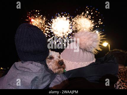 photo shows : réveillon du nouvel an à St Ives en Cornwall les propriétaires de chiens protègent les oreilles de ce cockapoo alors que les feux d’artifice commencent. Les habitants s'habillent en dre chic Banque D'Images