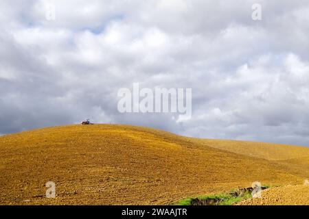 Agriculture Banque D'Images