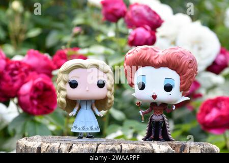 Figurines Funko Pop de Red Queen et Alice au pays des merveilles. Roses rouges et blanches, feuilles vertes, jardin de fleurs d'été, souche en bois. Banque D'Images