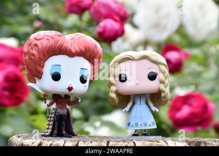 Figurines Funko Pop de Red Queen et Alice au pays des merveilles. Roses rouges et blanches, feuilles vertes, jardin de fleurs d'été, souche en bois. Banque D'Images